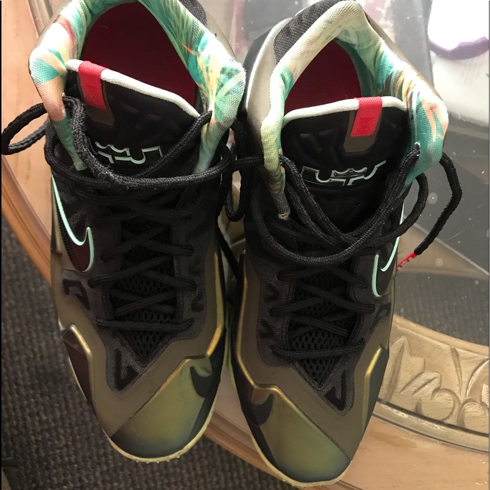 LeBron shoes